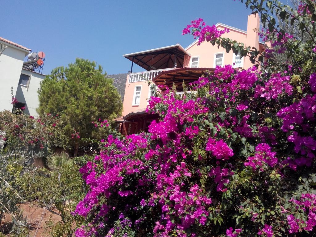 Villa Koknar Pension Kaş Kamer foto