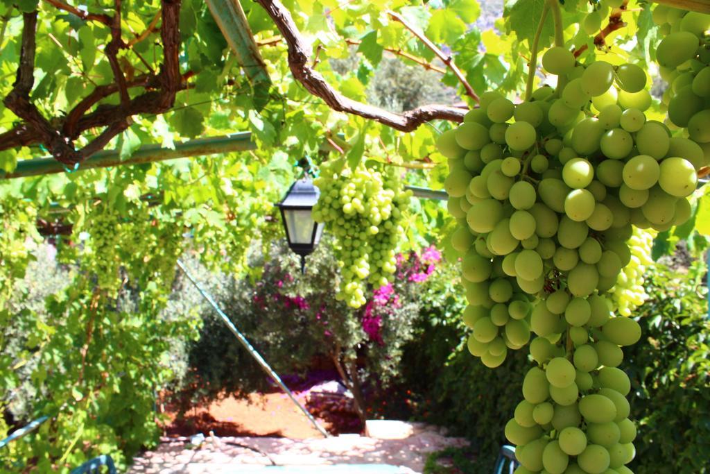 Villa Koknar Pension Kaş Buitenkant foto