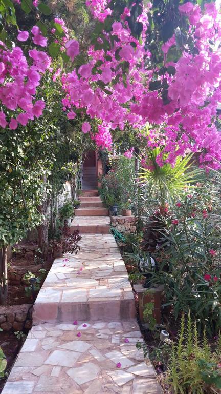 Villa Koknar Pension Kaş Buitenkant foto